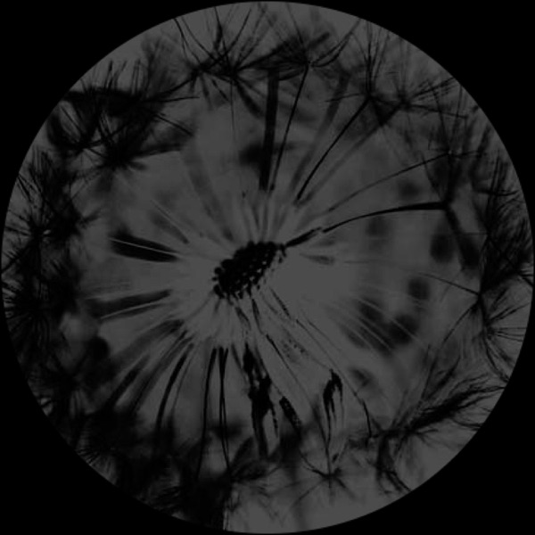 Wild Tarmac EP - EP