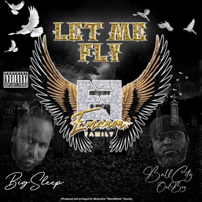 Let Me Fly (feat. BullCity OulBoy) - Single