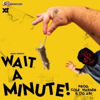 WAIT A MINUTE! - Single - Boozle