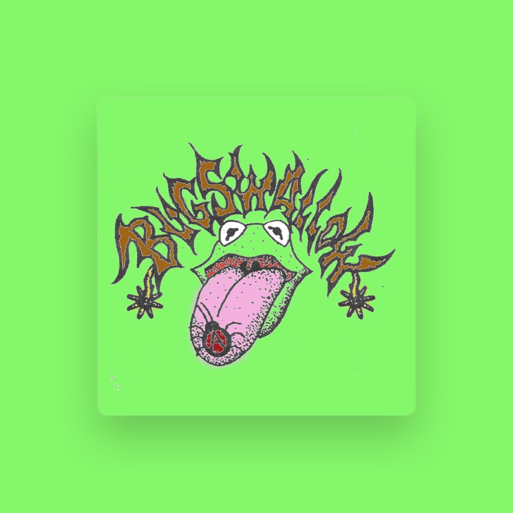bugswallow - Punk artist