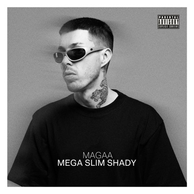 Mega Slim Shady - Single