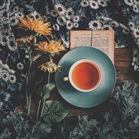 Remedy (feat. Koi) - Single - roan