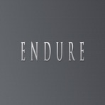 ENDURE (feat. StuBeatZ) - Single