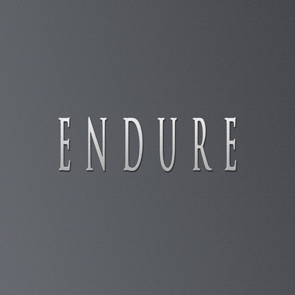 ENDURE (feat. StuBeatZ)