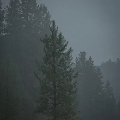 Forest Slaterの「Hillside - Single」を聴こう。