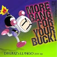 More Bang For Your Buck - Drumz and Llingo