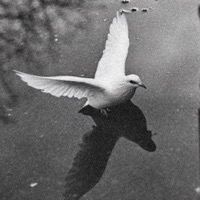 The End - EP - Jutes