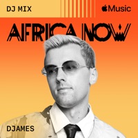 Tshwala Bam (feat. S.N.E) [Remix] / wande's bop (feat. SPINALL) [Mixed] - Burna Boy, Yuppe, TitoM & Fireboy DML