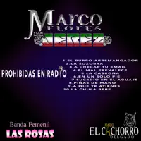 La Iguana — La Numero 1 Banda Jerez De Marco A. Flores