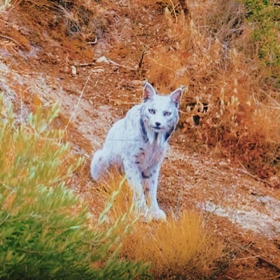 NOWHERE (feat. OPA) - Single