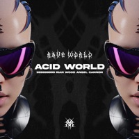 Acid World - Single - 999999999, Rian Wood & ANGEL CANNON