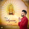 Mere Shyam Ji - Single