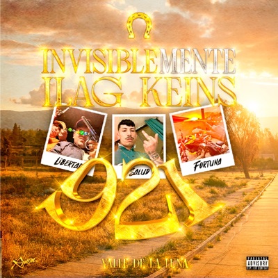 IINVISIBLEMENTE