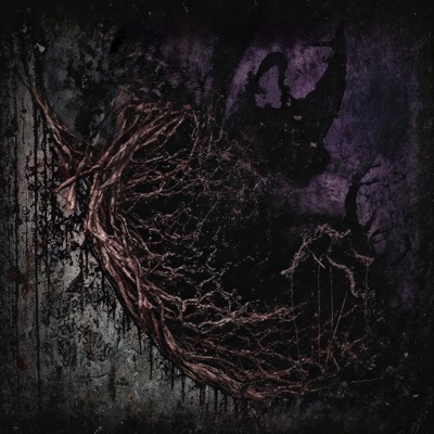 ANASARCA - Single