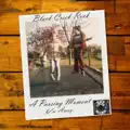 A Passing Moment