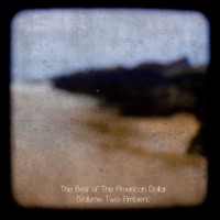 The Best of the American Dollar (Volume Two: Ambient) - The American Dollar