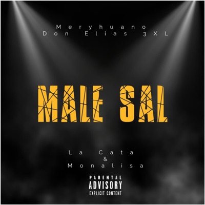 MALE SAL (feat. DON ELIAS 3XL) - Single