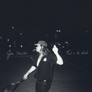 Fool In The Woods - Single
