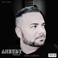 Burbujas de amor (En vivo) - Single - Aneudy Puello