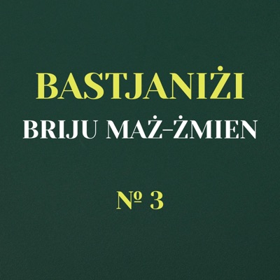Bastjaniżi Briju maż-Żmien № 3 (feat. Stephen Mizzi)