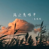 风止意难平 - Single - 李怼怼