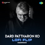 Dard Pattharon Ko (Lofi Flip) - Single