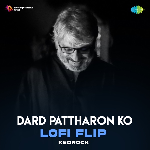 Dard Pattharon Ko (Lofi Flip) - Single