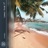 Tropical Breeze