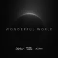 WONDERFUL WORLD