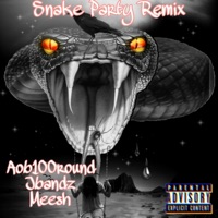 Snake Party - Single - AOB100round