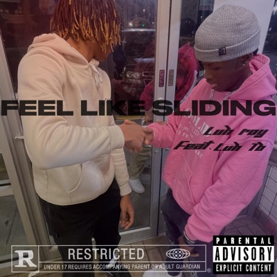 Feel Like Sliding (feat. Luh Tb) - Single