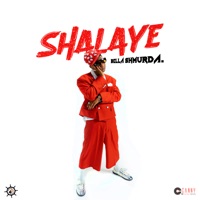 Shalaye - Single - Dangbana Republik & Bella Shmurda