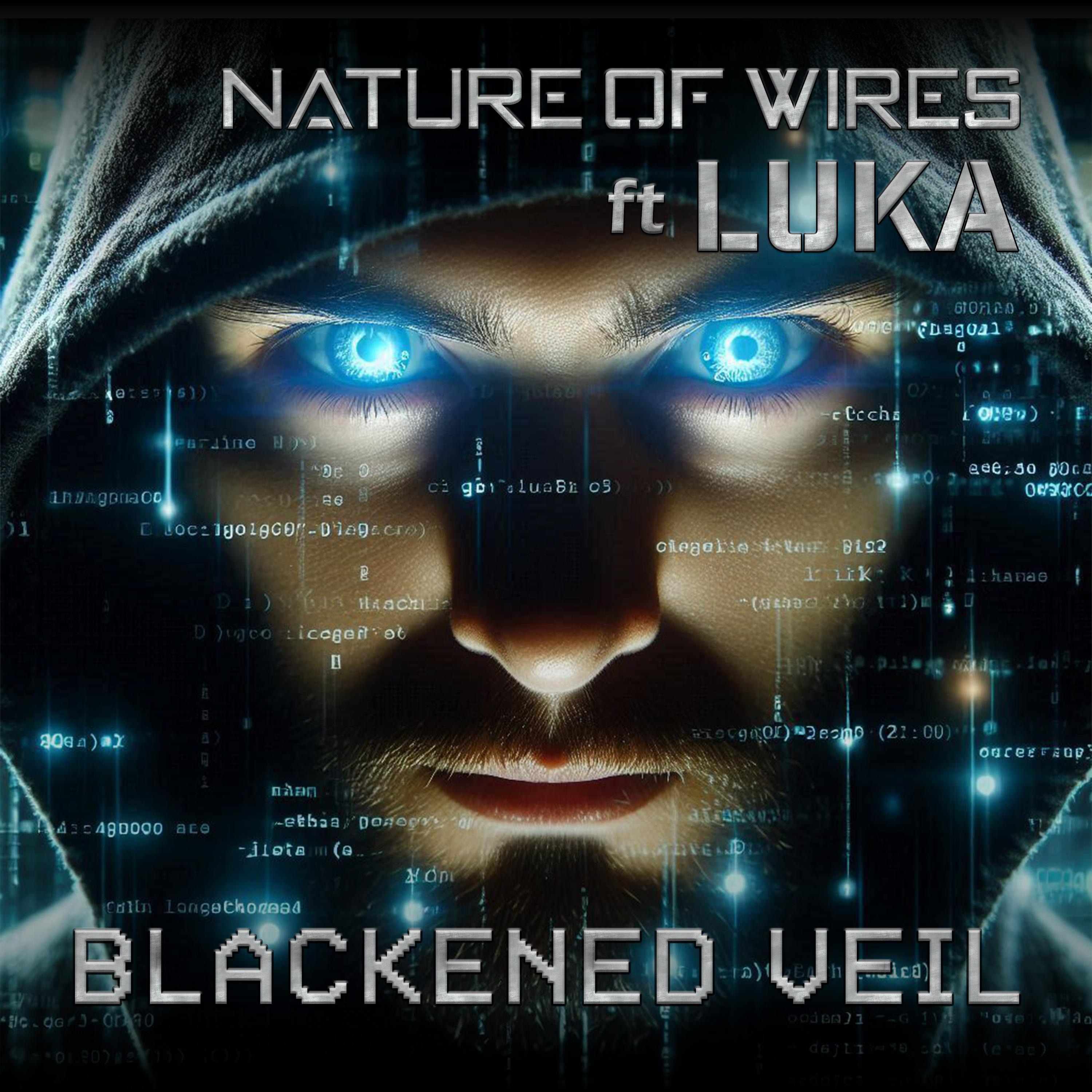 Blackened Veil (feat. Luka) - Single