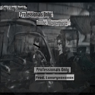 Professionals Only - Single