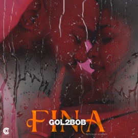 Fina (feat. Viticrow Scharboy & CARTER FILMS) GOL2BOB