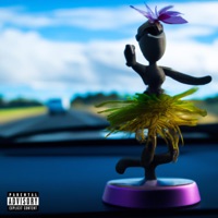 You Get A Hoe - Single - Snowsa