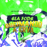Ela Fode Queimando a Erva - Single - Ari Falcão