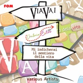 ViaVai per la strada giusta artwork