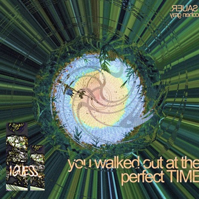 i guess you walked out at the perfect time (feat. Cohen Gray) - Single