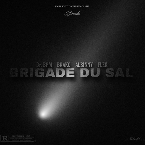 BRIGADE DU SAL (feat. Brako932 & Flek)
