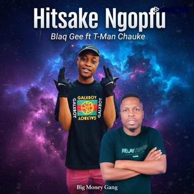 Hitsake Ngopfu (feat. Tman Chauke) - Single