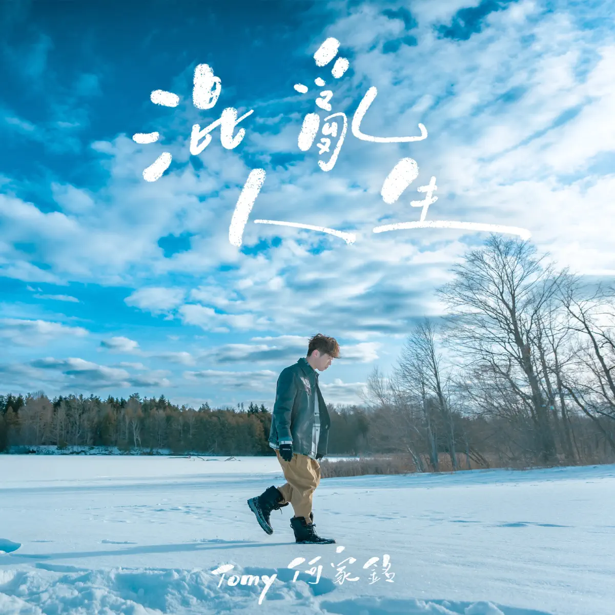 何家銘 - 混亂人生 - Single (2025) [iTunes Plus AAC M4A]-新房子