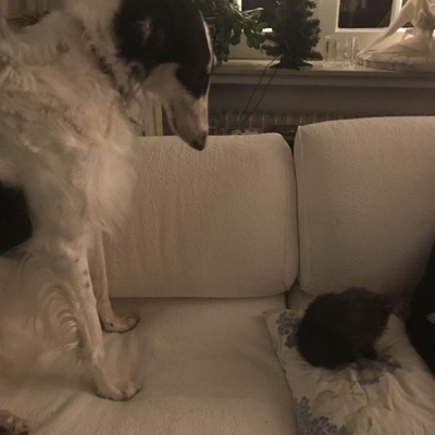 hundert grad (remix) (feat. b3nn3t) - Single