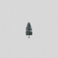 Evergreen - Single - John Michael Howell