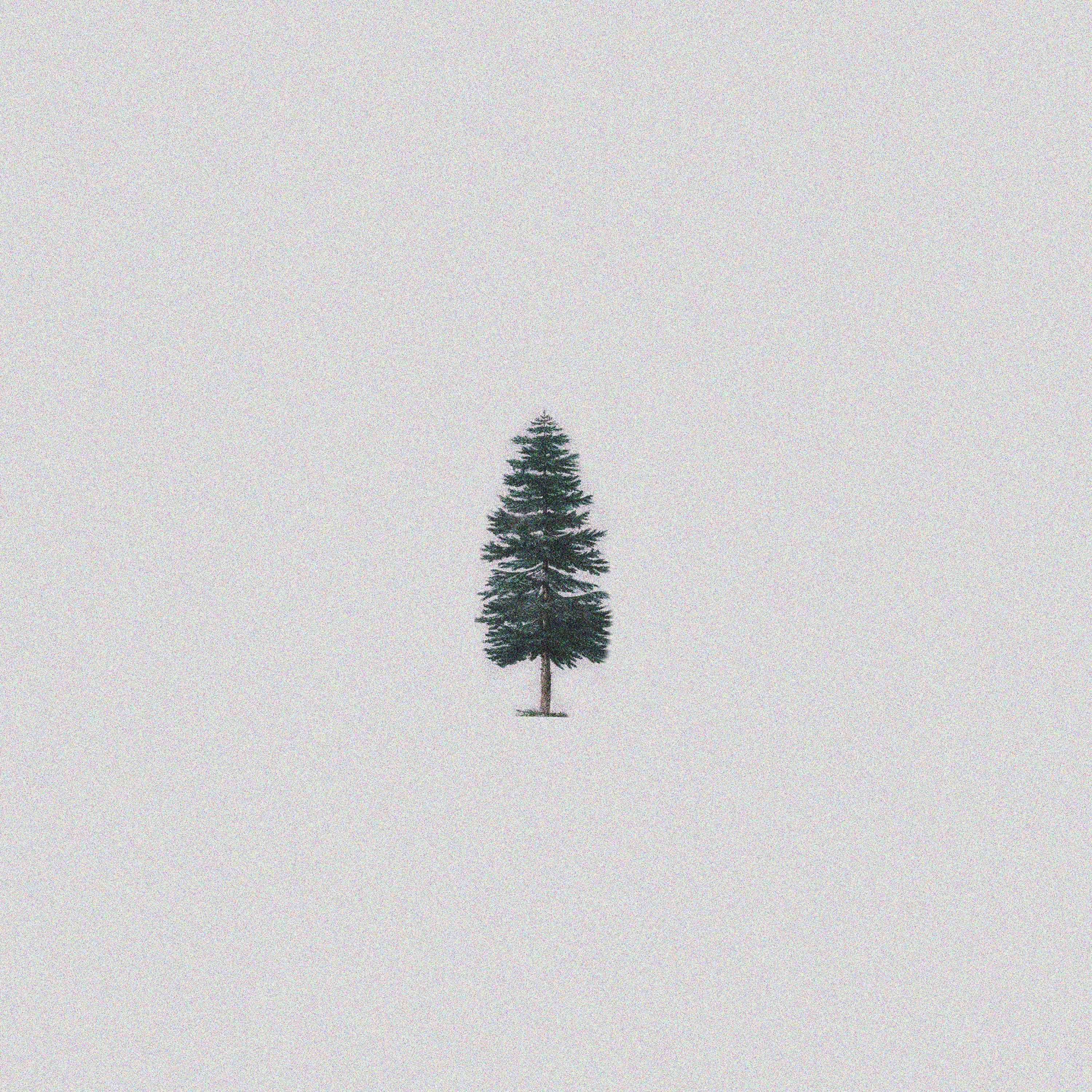 Evergreen - Single