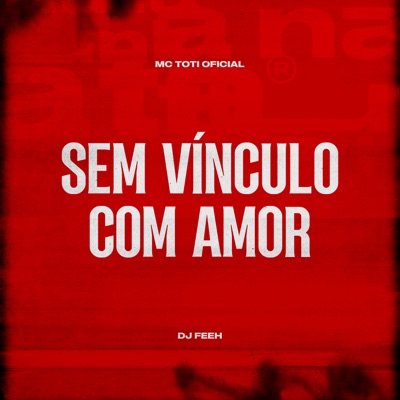 Sem Vínculo Com Amor (feat. DJ Feeh) - Single