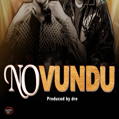 No Vundu (feat. T Sean) - Single