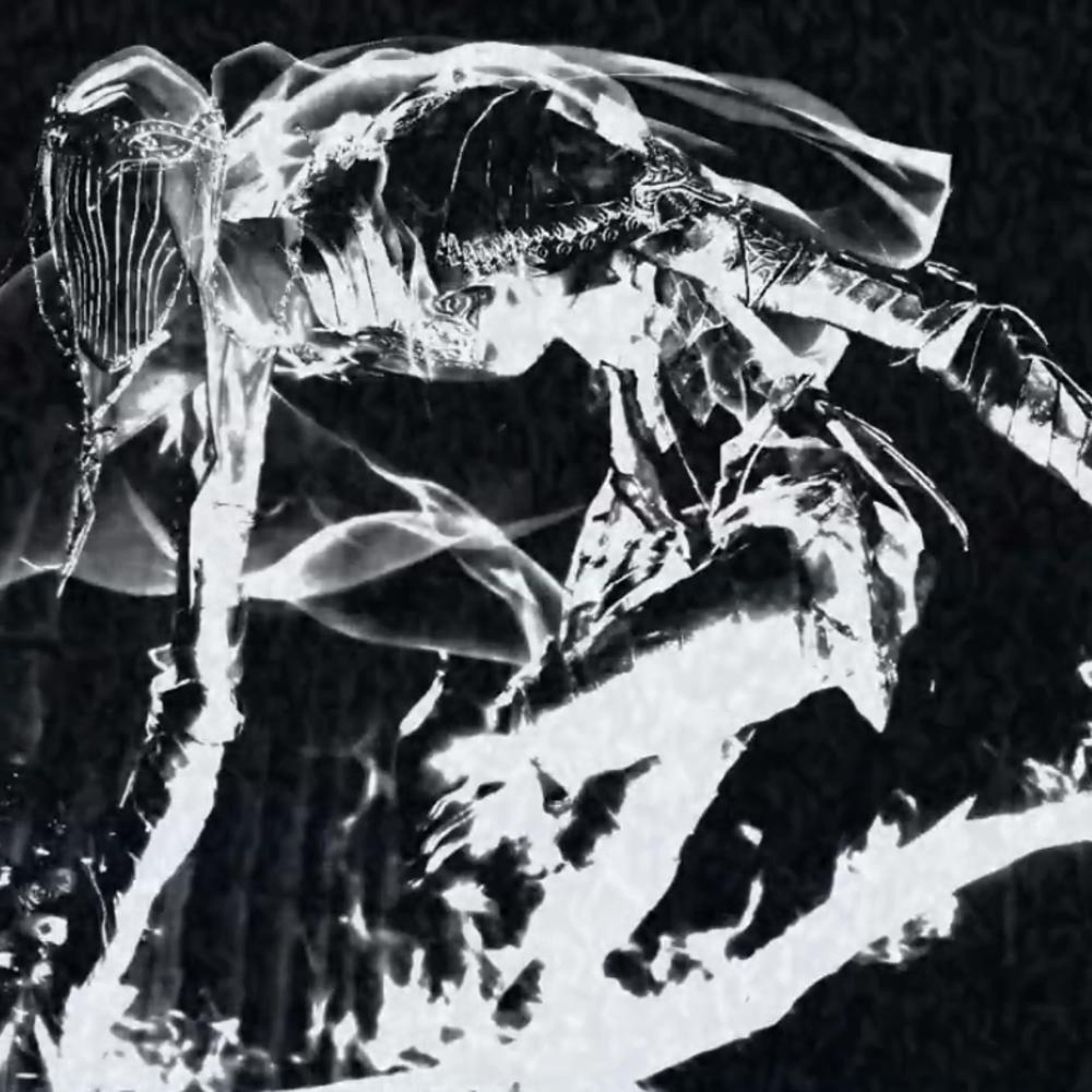 Pain Old Kev - Invincible