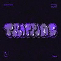 Tripping - Single - GED & Zunzarren