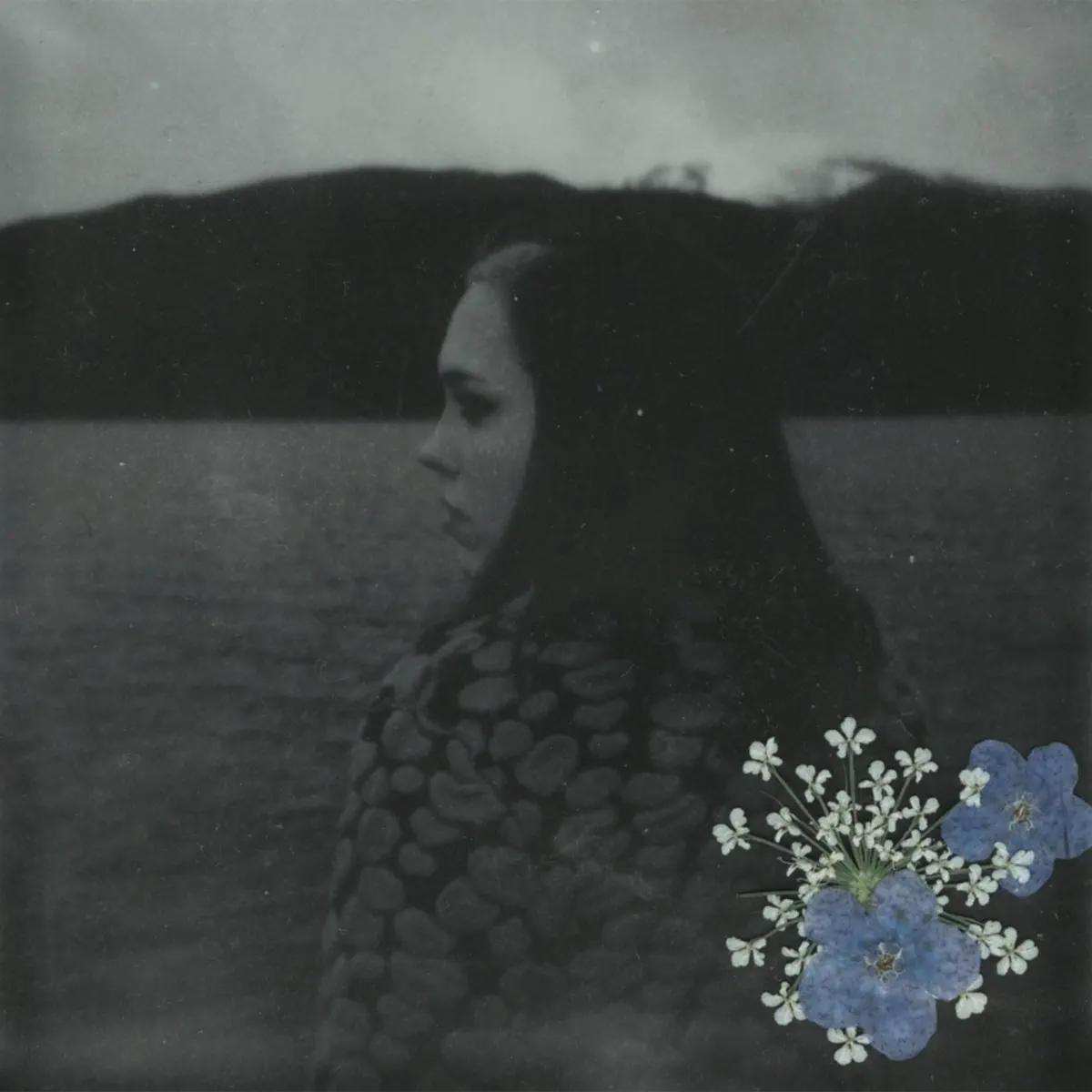 Soccer Mommy - Evergreen (2024) [iTunes Plus AAC M4A]-新房子